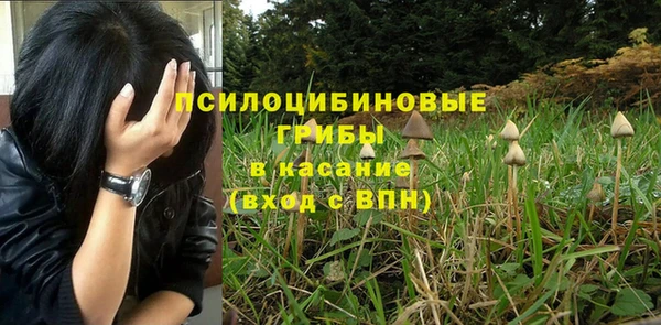 прущие крисы Балабаново